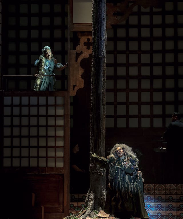 Ohm David Into the Woods
